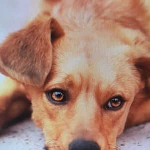 Meet your Posher, Bryan